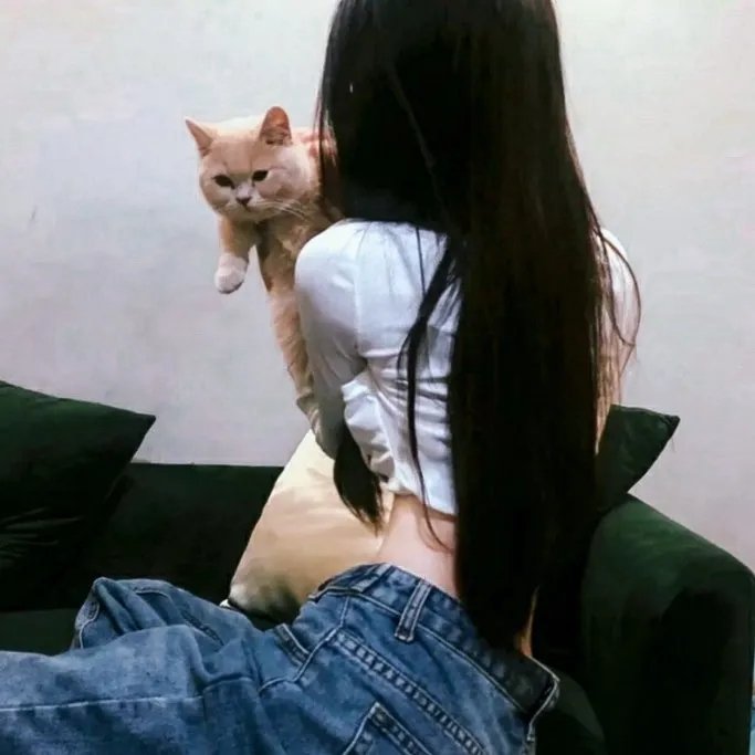 贤婿